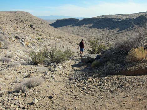 Ridgeline Loop Trail