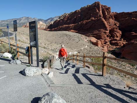 Calico Hills 2 Trailhead