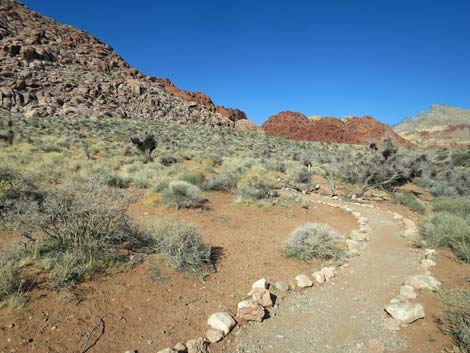 Calico Basin Trail