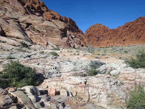 Calico Basin Trail