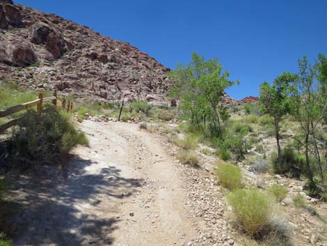 Calico Basin Trail