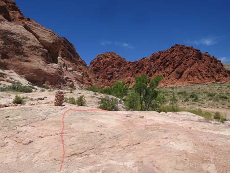 Calico Basin Trail