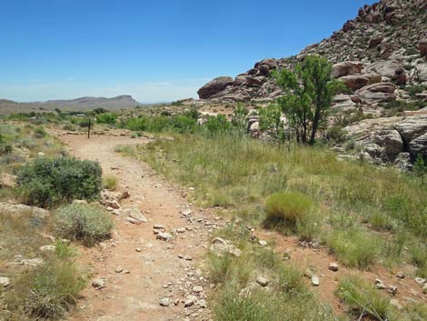 Calico Basin Trail