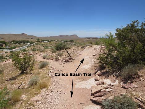 Calico Basin Trail