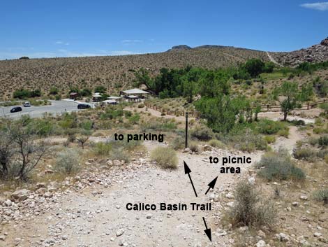 Calico Basin Trail