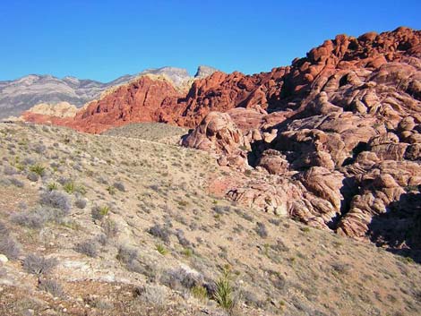 Calico Hills Trail