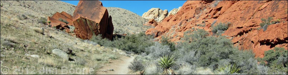 Calico Hills Loop