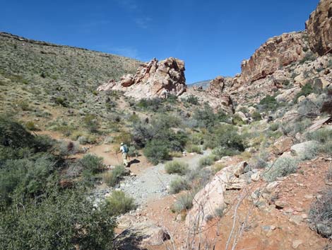 Calico Hills Loop Trail