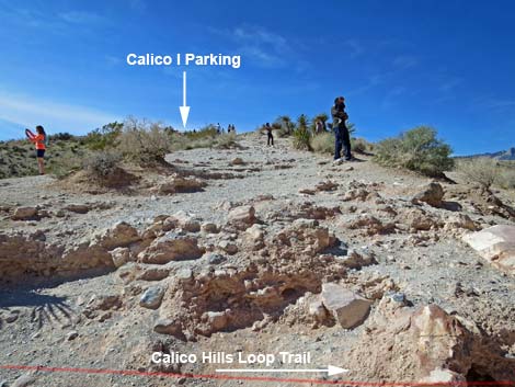 Calico Hills Loop Trail