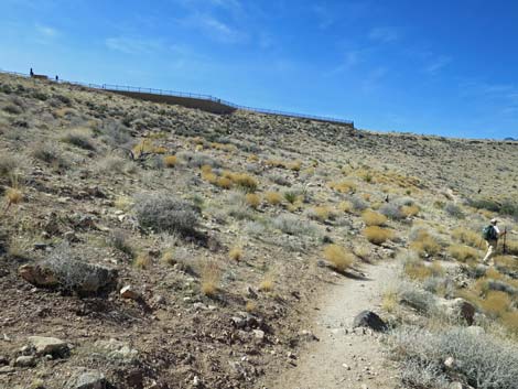 Calico Hills Loop Trail