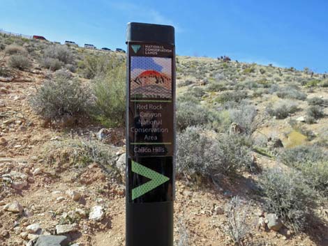 Calico Hills Loop Trail