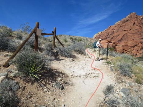 Calico Hills Loop Trail