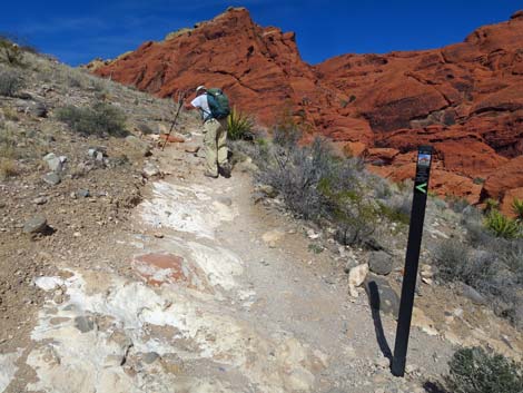 Calico Hills Loop Trail