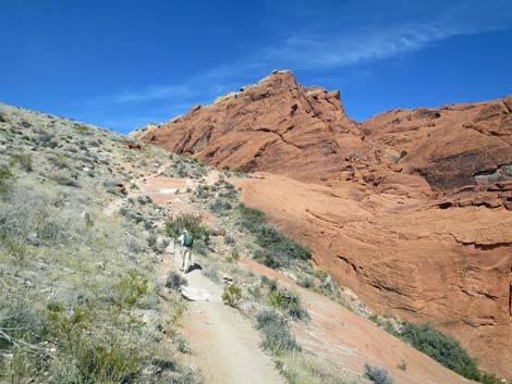 Calico Hills Trail