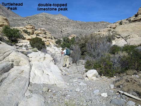 Calico Hills Loop Trail