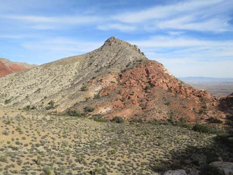 Calico Hills Loop Trail