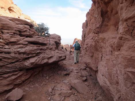 Calico Hills Loop Trail