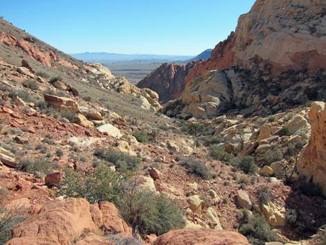 Calico Hills Loop Trail