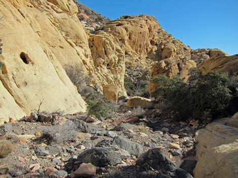 Calico Hills Loop Trail