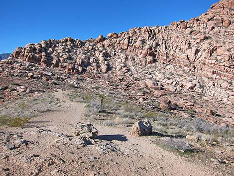 Calico Basin Overlook Trail