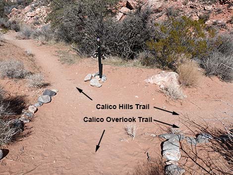 Calico Wash Trail