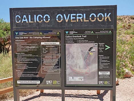 Calico Basin Overlook Trail