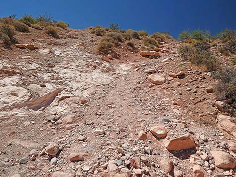 Calico Basin Overlook Trail