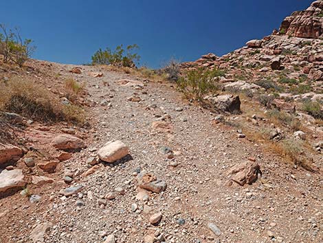 Calico Basin Overlook Trail