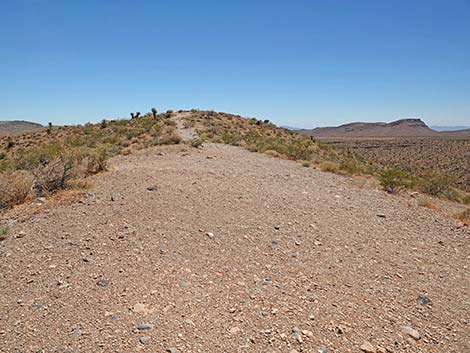 Calico Basin Overlook Trail