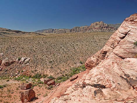 Calico Basin Overlook Trail