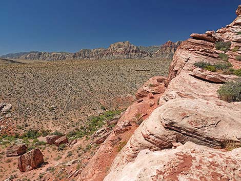 Calico Basin Overlook Trail