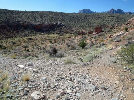 Calico Basin Overlook Trail