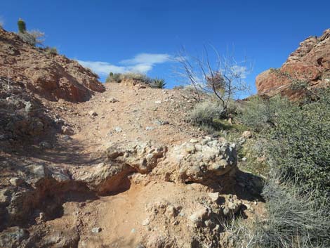 Calico Basin Overlook Trail