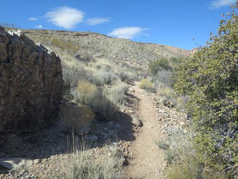 Calico Basin Overlook Trail