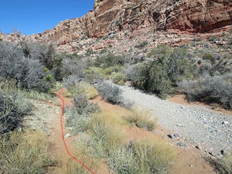 Calico Basin Overlook Trail