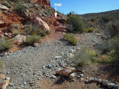 Calico Basin Overlook Trail