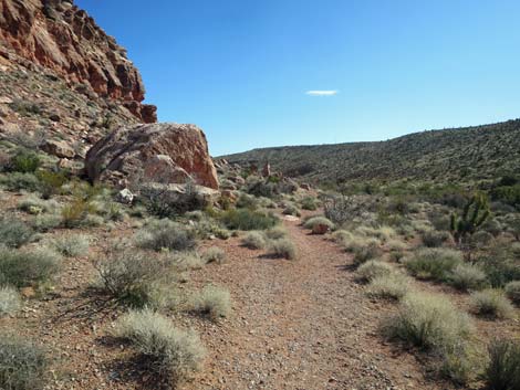 Calico Basin Overlook Trail