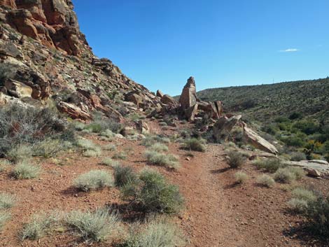 Calico Wash Trail