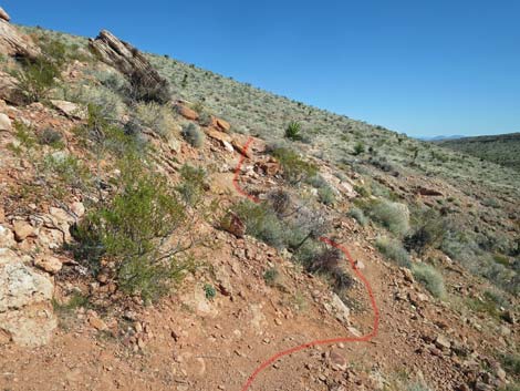 Calico Basin Overlook Trail