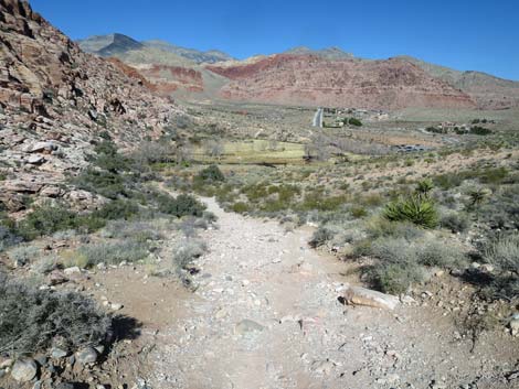 Calico Basin Overlook Trail