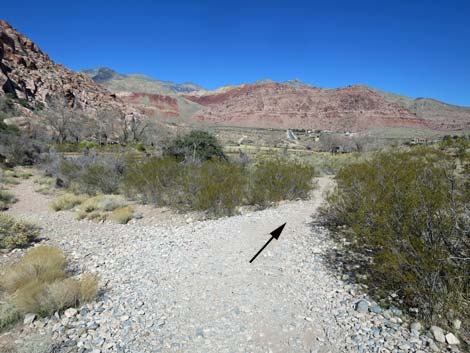 Calico Basin Overlook Trail