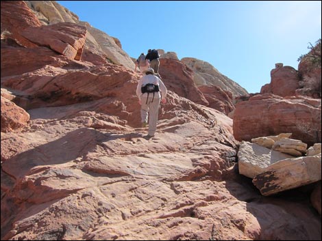 Calico Tanks