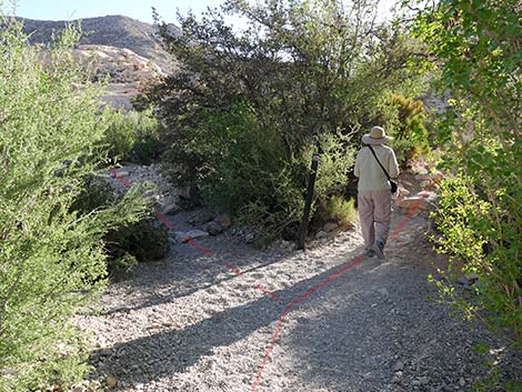 Calico Tanks Trail