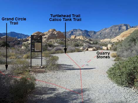 Calico Hills Loop Trail