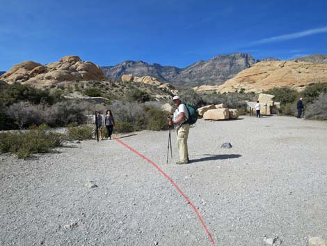 Calico Hills Loop Trail