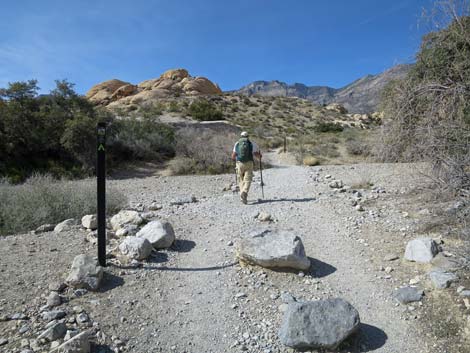 Calico Hills Loop Trail