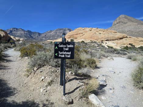 Calico Tanks Trail