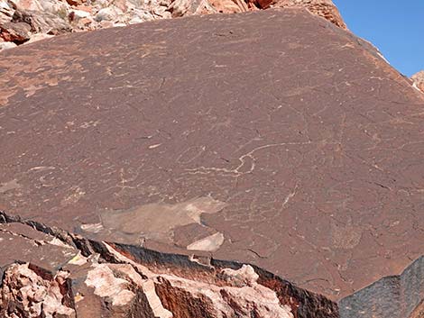 Calico Wash Trail