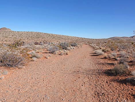 Calico Wash Trail