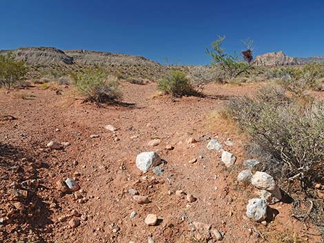 Calico Wash Trail